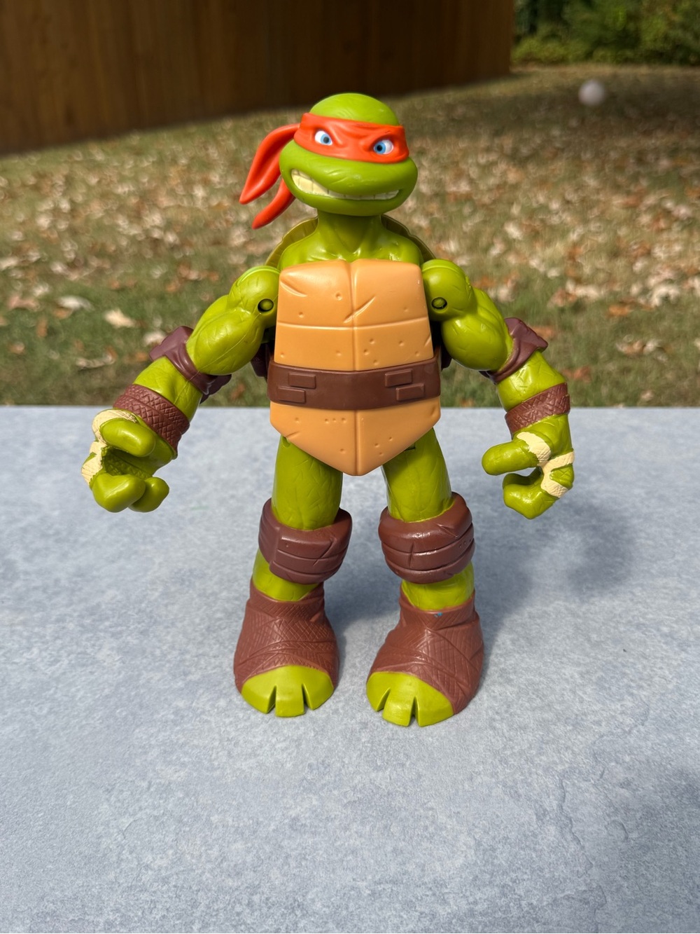 Teenage Mutant Ninja Turtles Raphael Action Figure - Red Mask